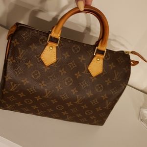 Louis Vuitton Classic Monogram Speedy 30